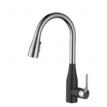 High Arc Brass 2-Function Pull Down Faucet for Kitchen Sink