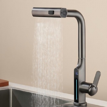 HYGESS Single Handle Raindance Pull Out Kitchen Faucet with Temperature Display